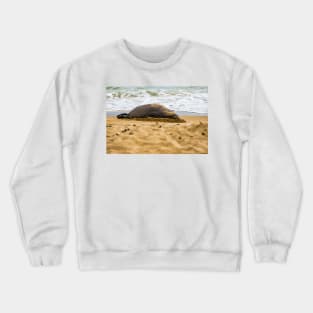 Hawaiian monk seal 2 Crewneck Sweatshirt